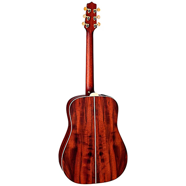 Takamine FN15 AR Limited Edition Dreadnought Elektro Akustik Gitar